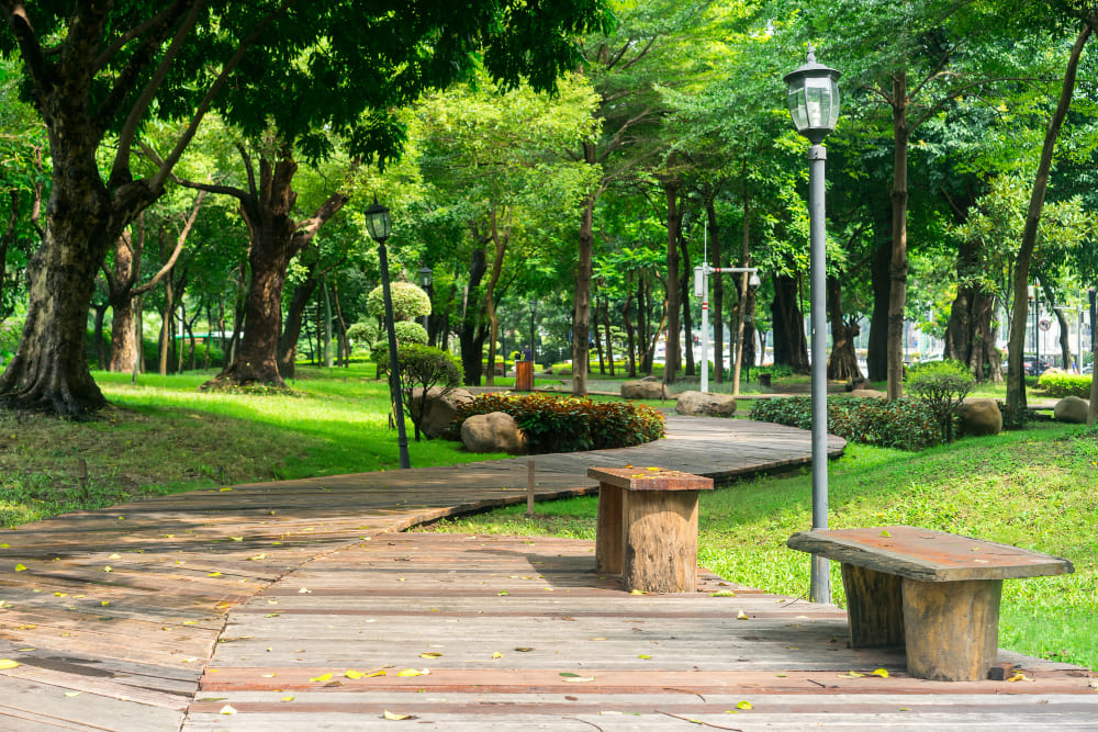 Caminho de madeira entre árvores e bancos em um parque verde.