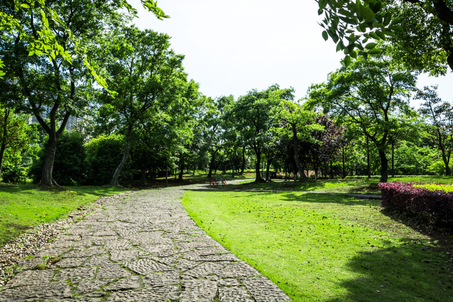 Caminho de pedras cercado por gramado verde e árvores em um parque ensolarado.