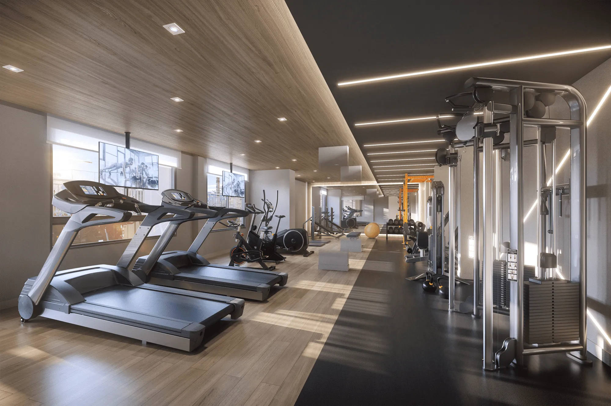 Perspectiva Ilustrada do Fitness - Pienza