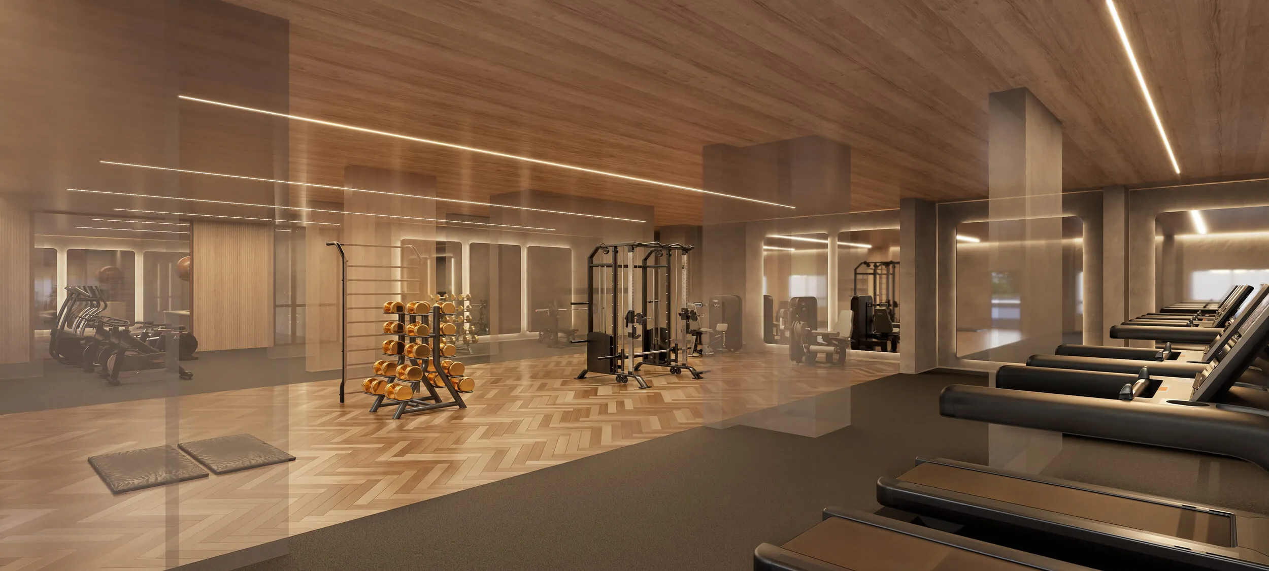 Perspectiva Ilustrada do Fitness