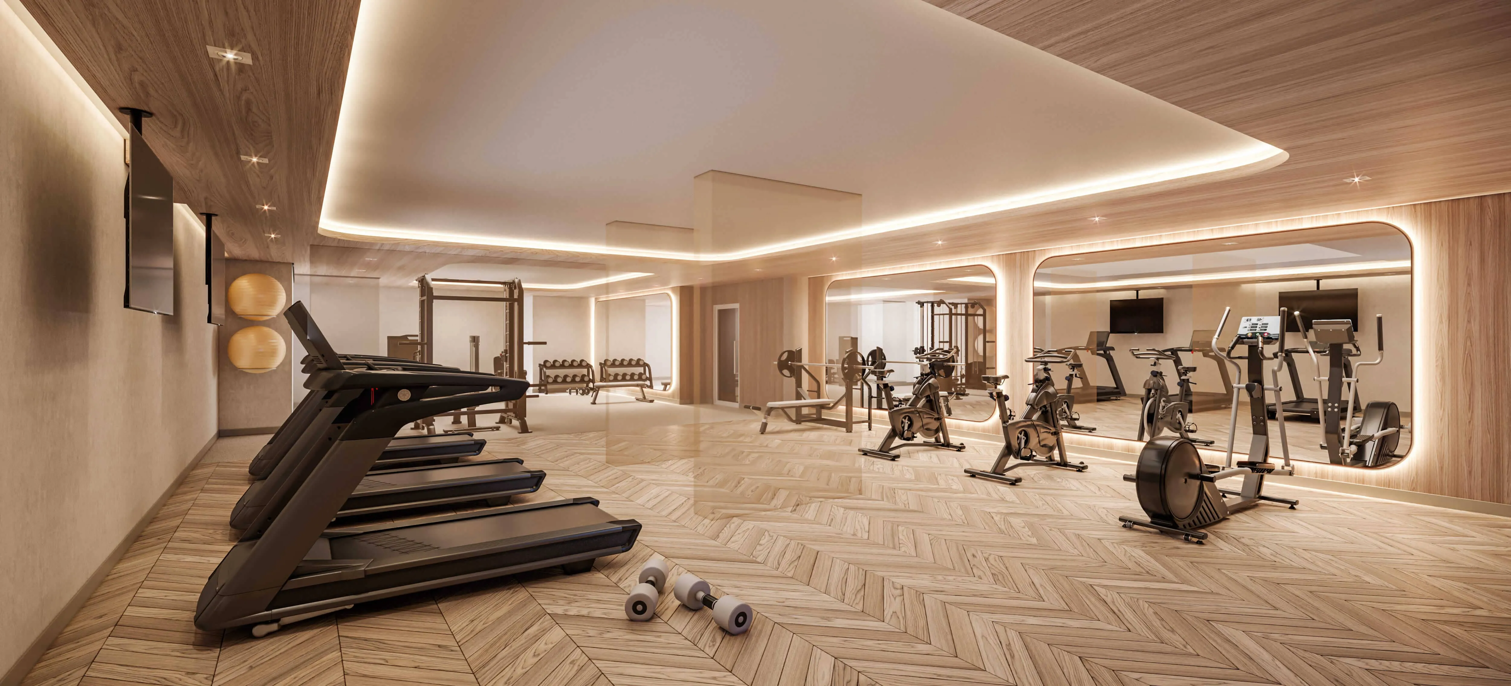 Perspectiva Ilustrada | Fitness