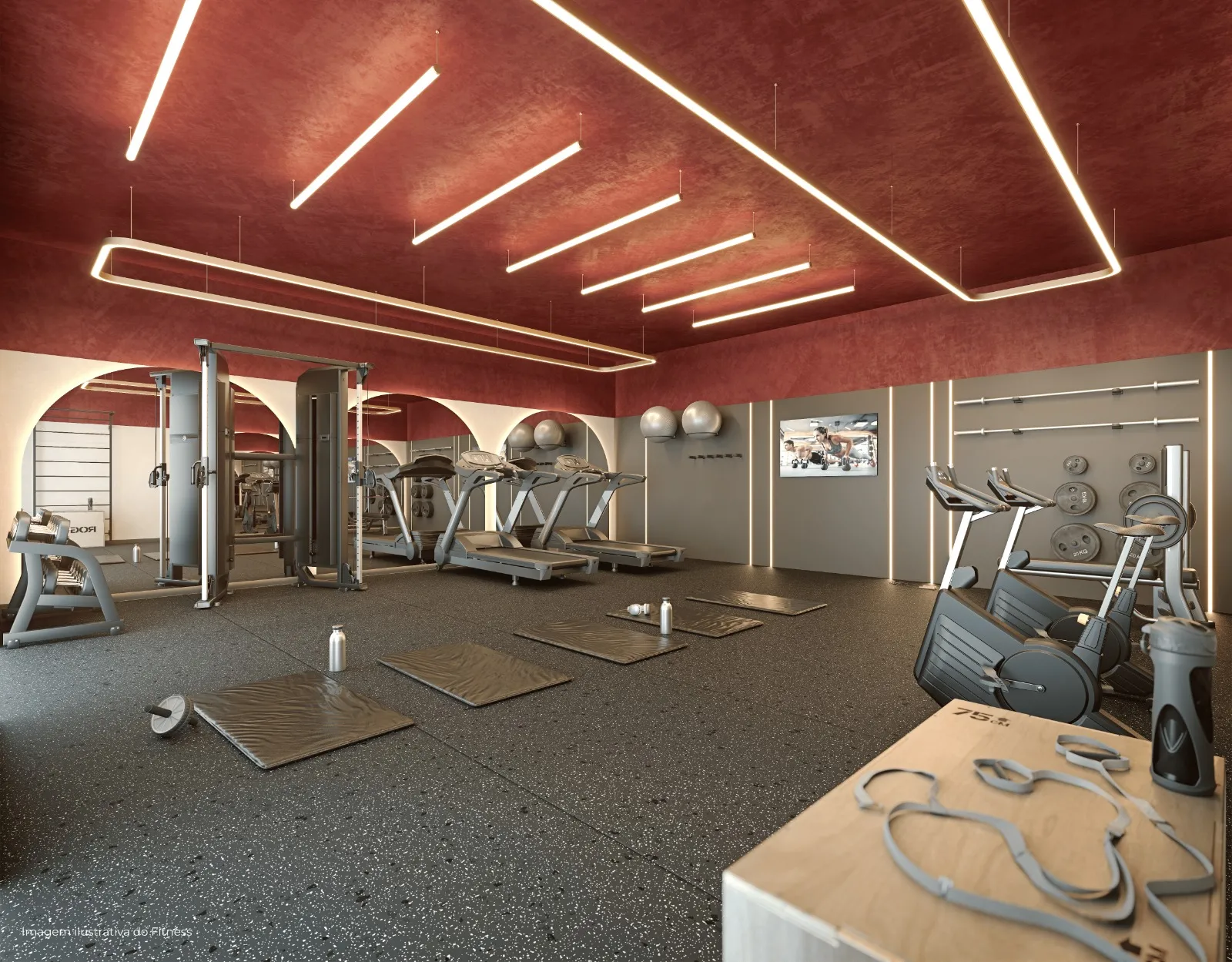 Imagem ilustrativa do Fitness