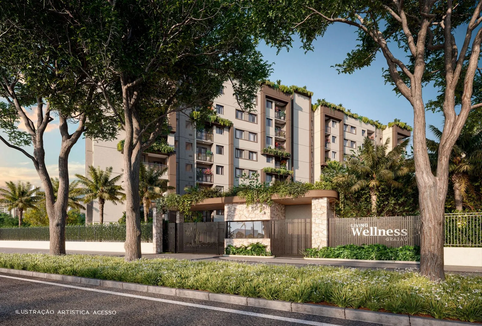  Ilustração Artística Acesso